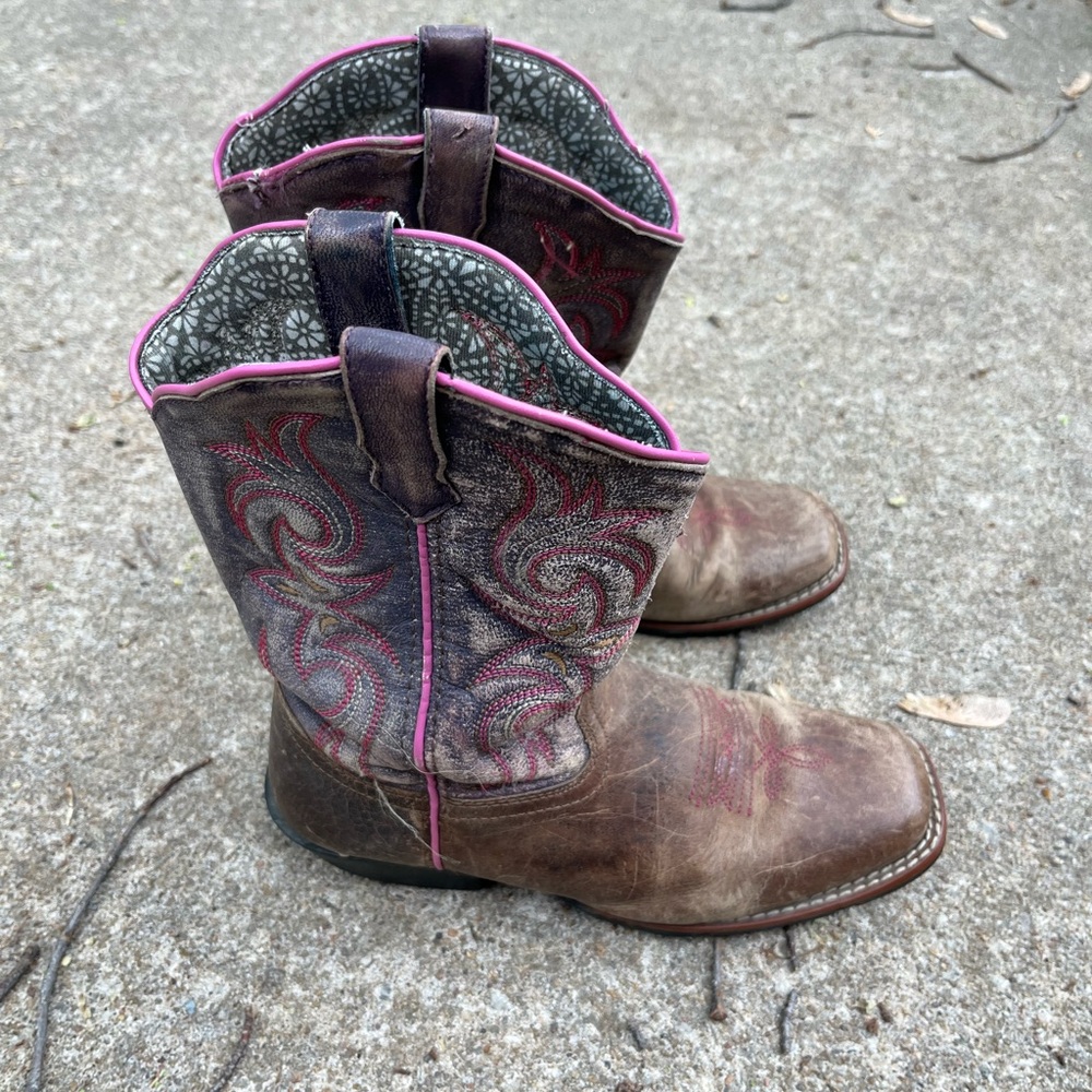 Dan Post Brown and Pink Western Boots